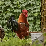 Auszeit Am Haff Ferienhaeuser Дом отдыха