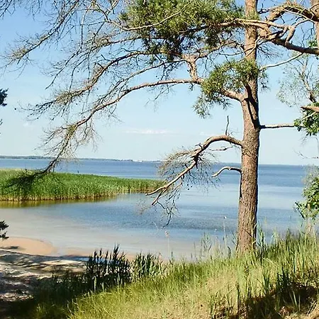 Σπίτι διακοπών Auszeit Am Haff Ferienhaeuser Vogelsang-Warsin