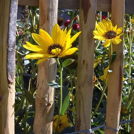 Auszeit Am Haff Ferienhaeuser Σπίτι διακοπών