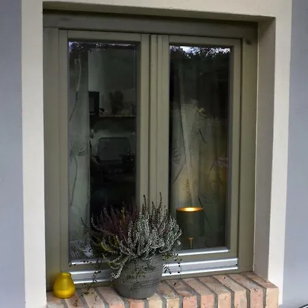 Auszeit Am Haff Ferienhaeuser Vogelsang-Warsin