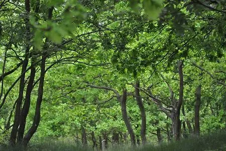 度假居 Auszeit Am Haff Ferienhaeuser *