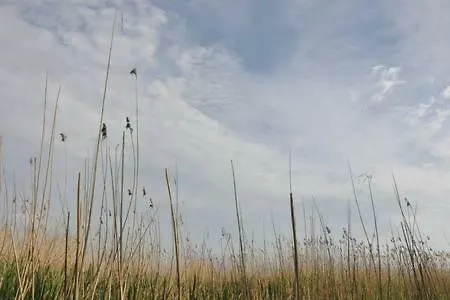 Auszeit Am Haff Ferienhaeuser Σπίτι διακοπών