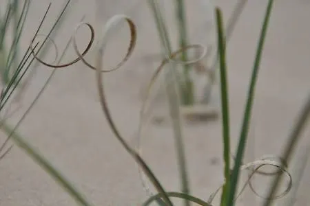 Auszeit Am Haff Ferienhaeuser